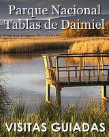 Tablas de Daimiel Almagro