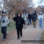 Observacin de aves / Birdwatching