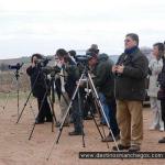 Observacin de Aves / Birdwatching