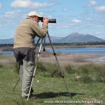 Observacin de Aves