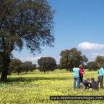 Dehesa de Zacatena en primavera