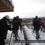 Observando aves / birdwatching