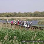 Visitas guiadas Tablas de Daimiel