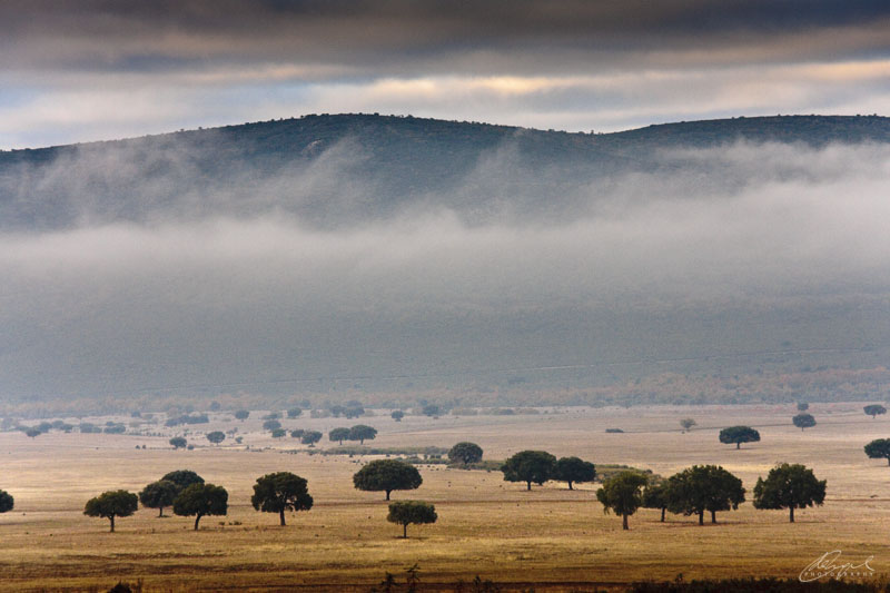 Parque Nacional de Cabañeros en Castilla y la Mancha bajo el atardecer