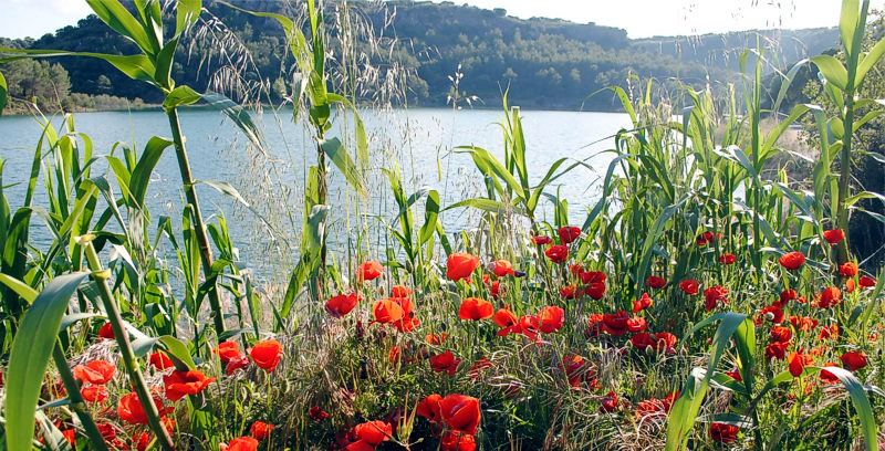 Primavera Lagunas de Ruidera