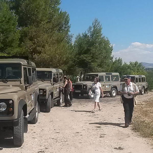 Visita 4x4 Grupos Tablas de Daimiel