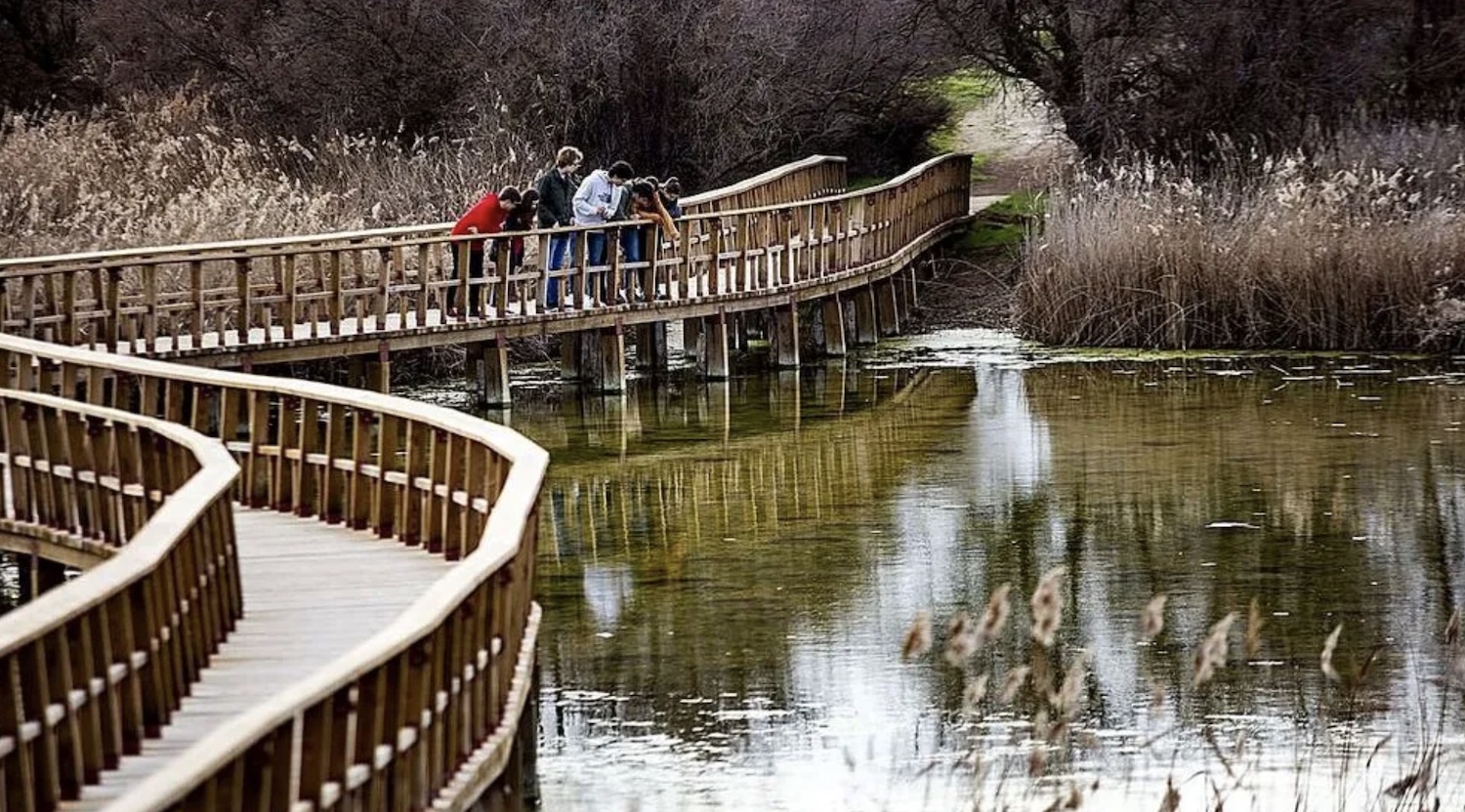 tablas de daimiel