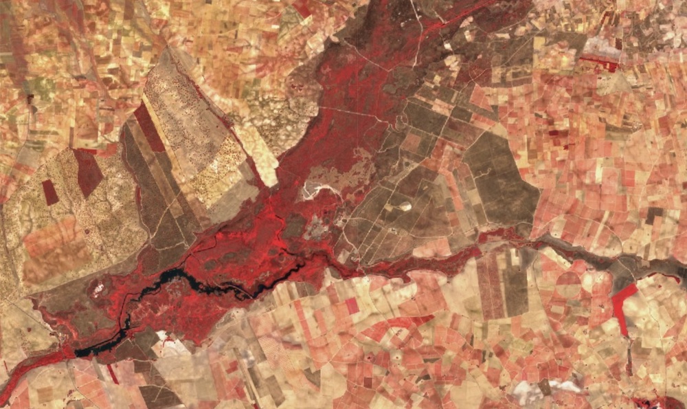 Inundación Tablas de Daimiel
