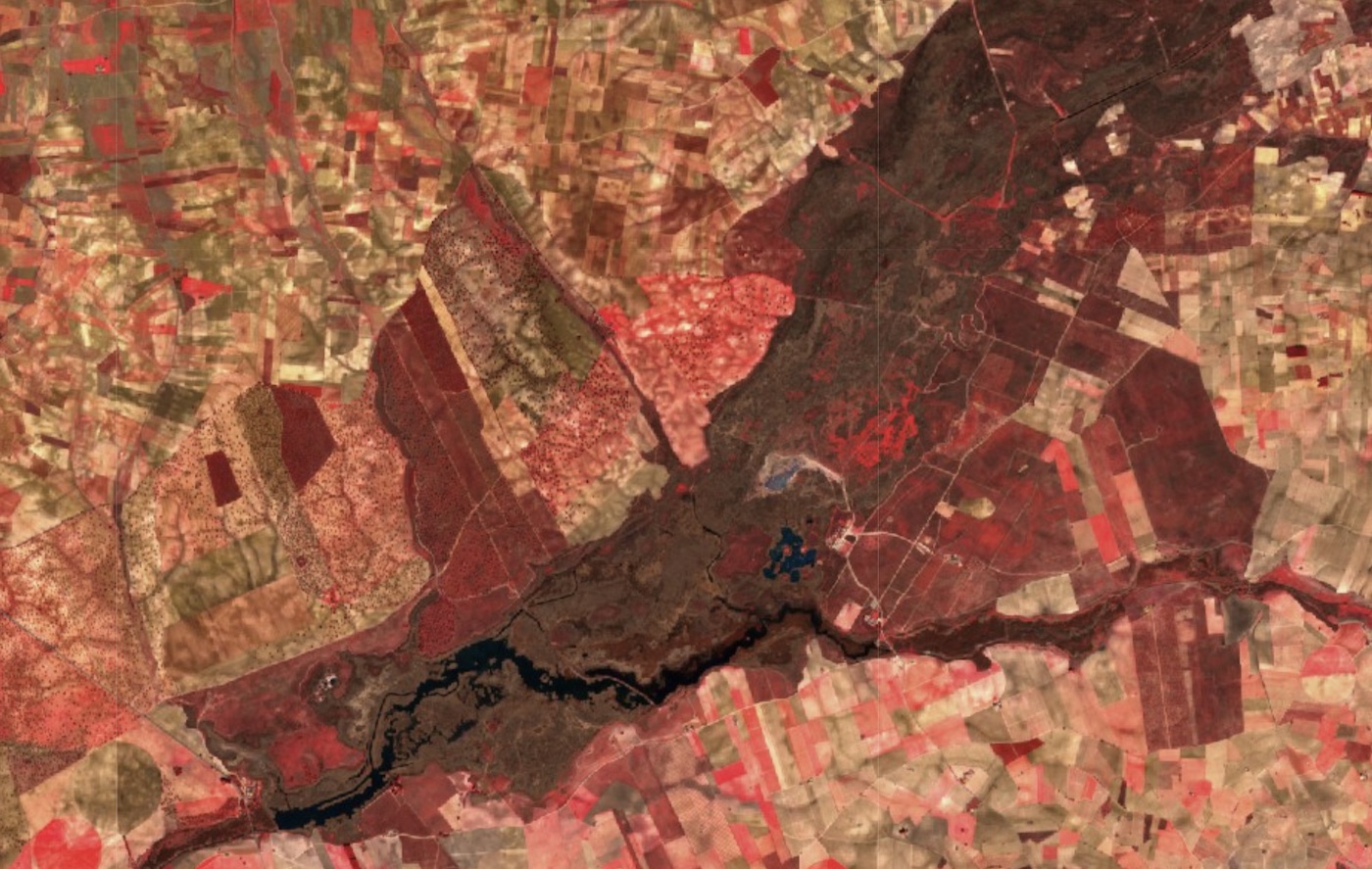inundacion_tablasdedaimiel