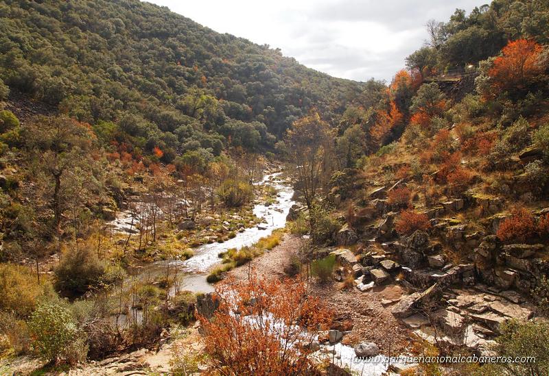 Rio estena Cabañeros