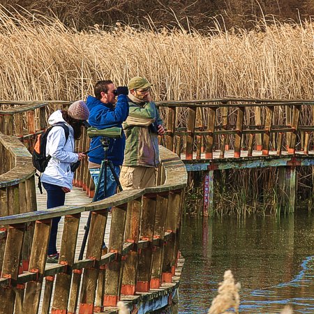 Visita guiada Parque Nacional Tablas de Daimiel