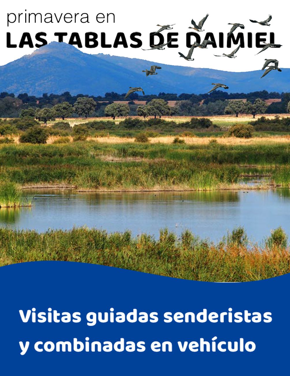 Tablas de Daimiel en Primavera 2025